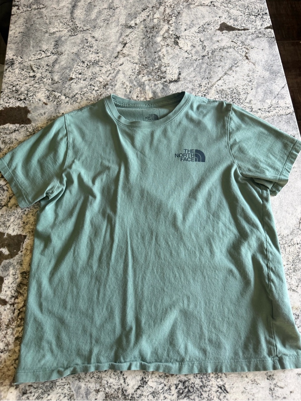 The North Face Mint Green Short Sleeve Tee with Chest Logo
